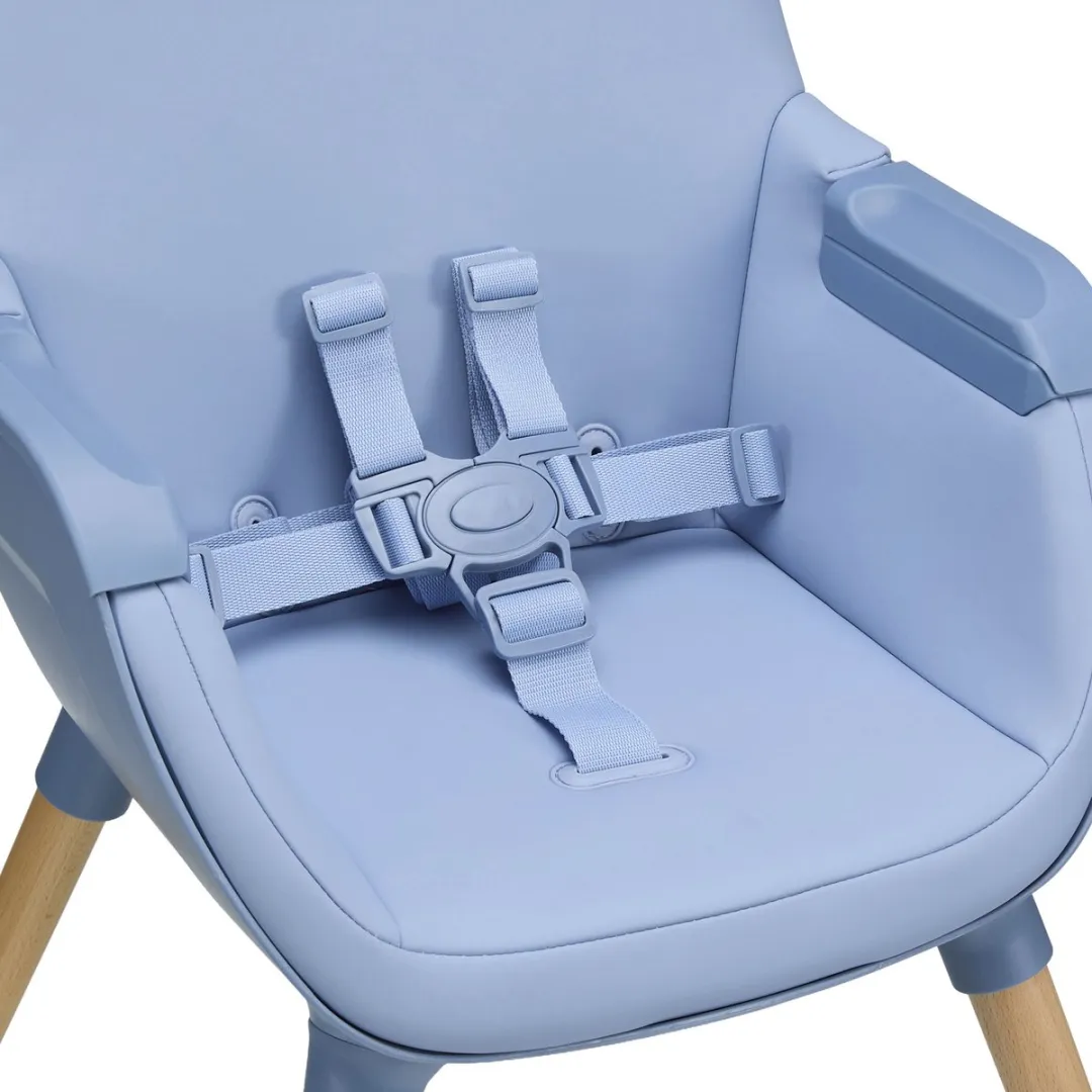 KinderKraft FINI 2 Kinderstoel 2-in-1 Nordic Breeze
