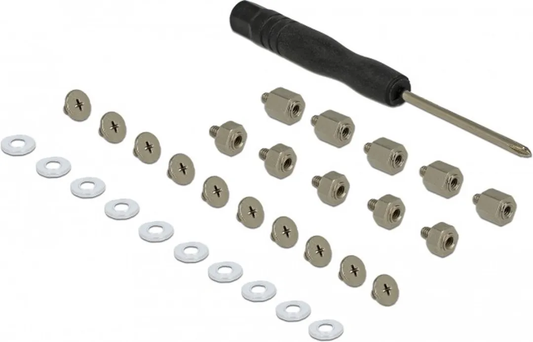 Delock Montagekit M.2 SSD 31 Stuks