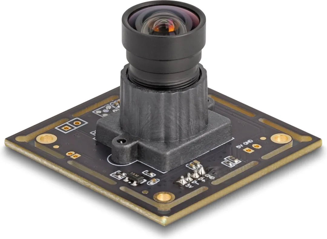 Delock 12072 Webcam - 2,1 MP USB 2.0 - Zwart