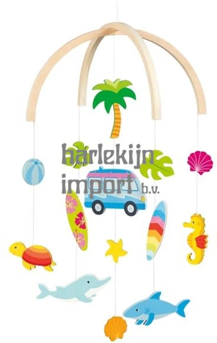 Goki Mobile Surfer Van