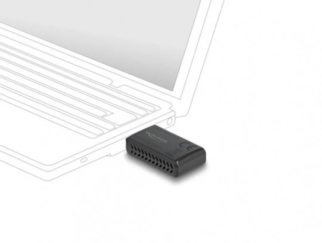 Delock Wi-Fi 6 AX1800 USB Stick 12772 - Zwart