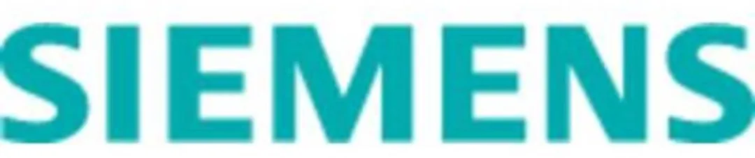 Siemens 5SD602 Zekering DIII 4A 750V AC - Bruin