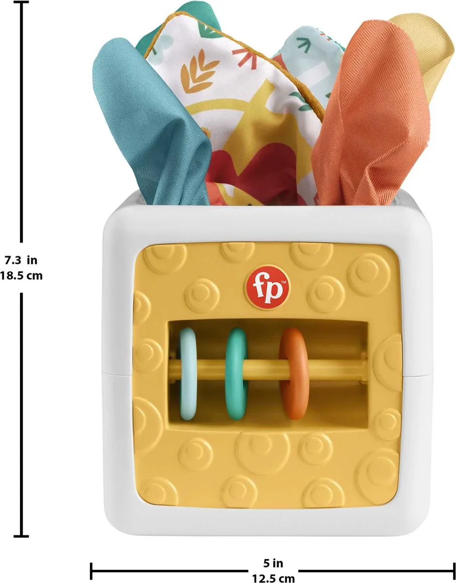 Fisher Price 2-in-1 Baby Activiteitenkubus - Blauw