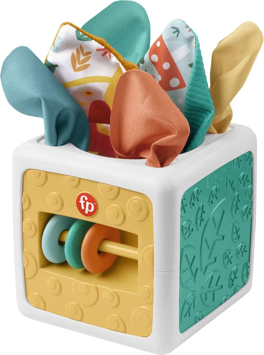 Fisher Price 2-in-1 Baby Activiteitenkubus - Blauw