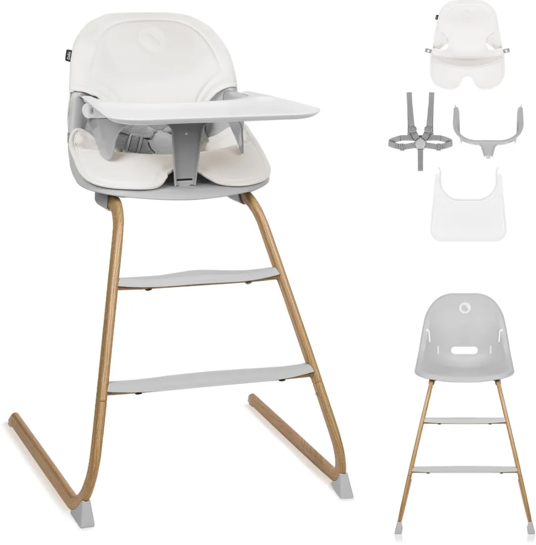 Lionelo Dalia 2-in-1 Kinderstoel - 6 maanden tot 60 kg - 3,5 kg - Grijs