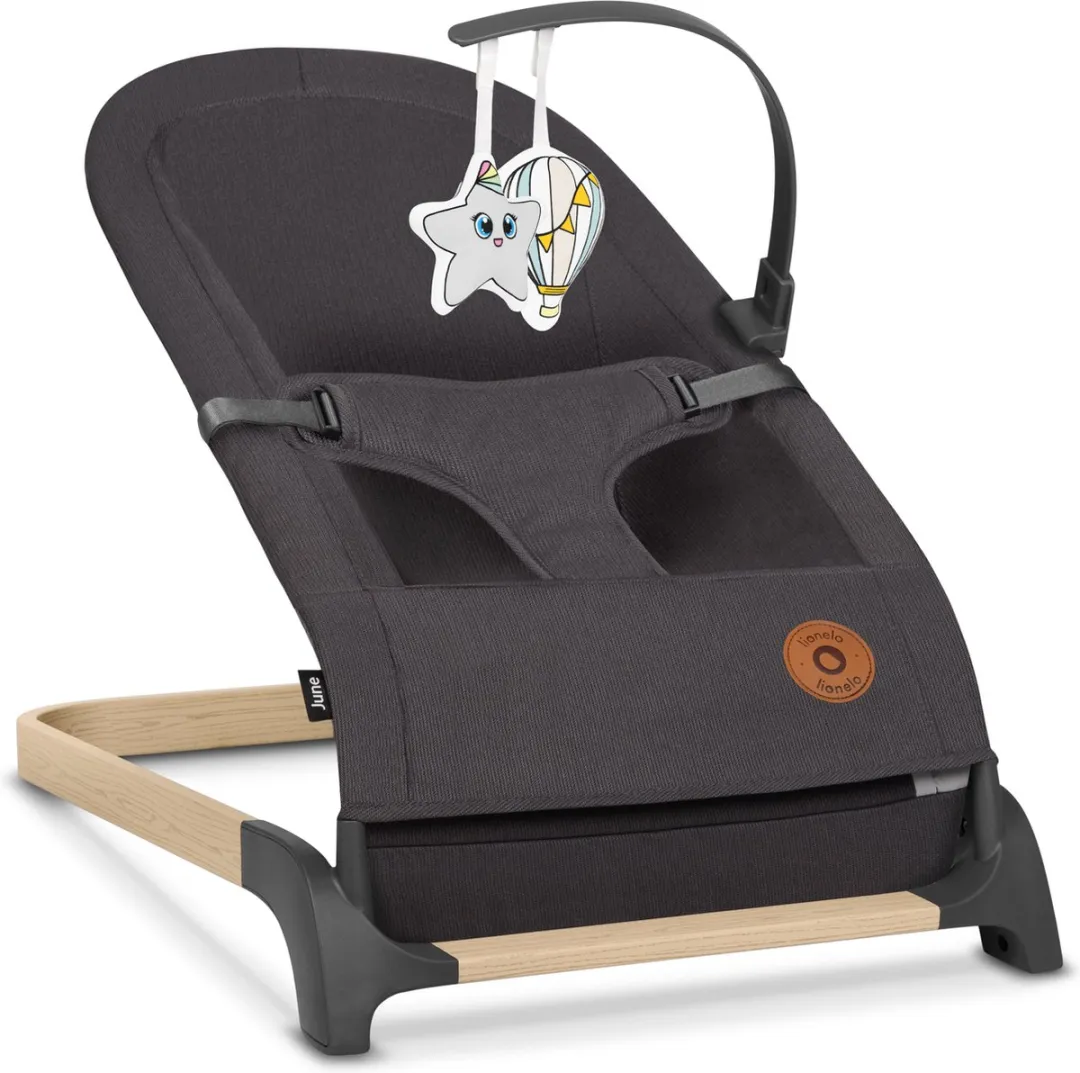 Lionelo June Wipstoel Baby - Grijs - 9 kg - 3-puntsgordels