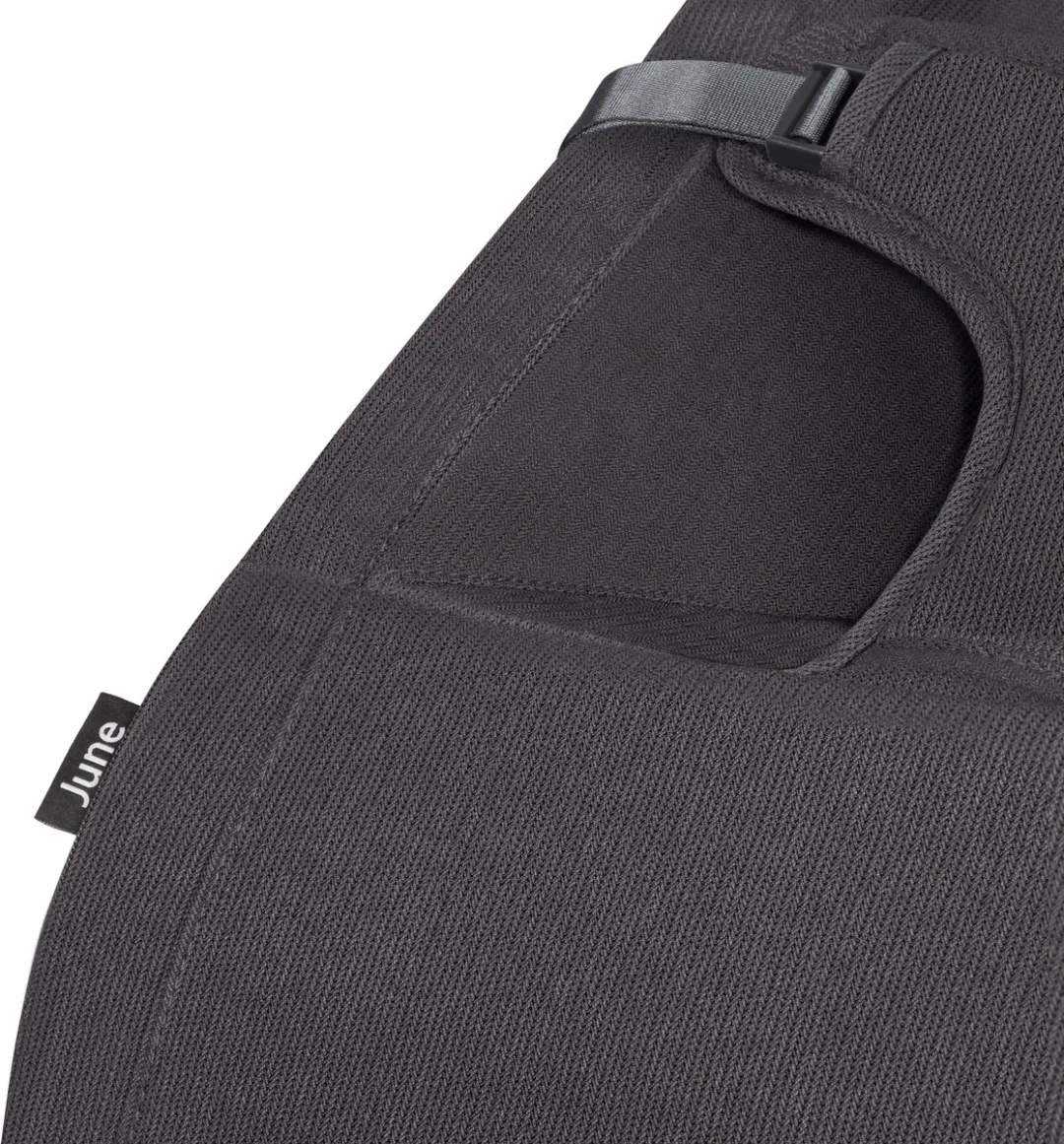 Lionelo June Wipstoel Baby - Grijs - 9 kg - 3-puntsgordels