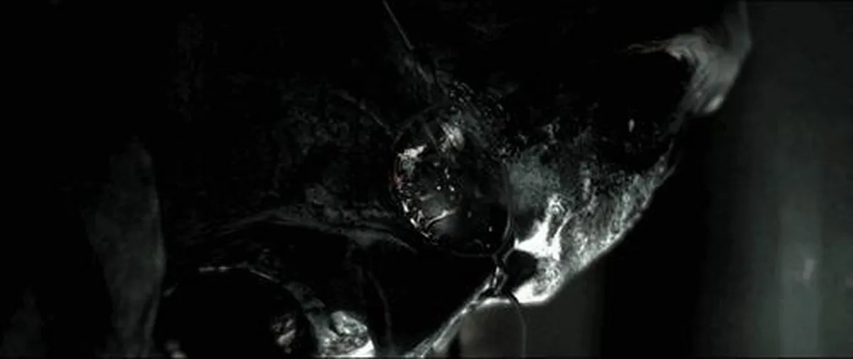 Capcom Resident Evil 6 - PS3
