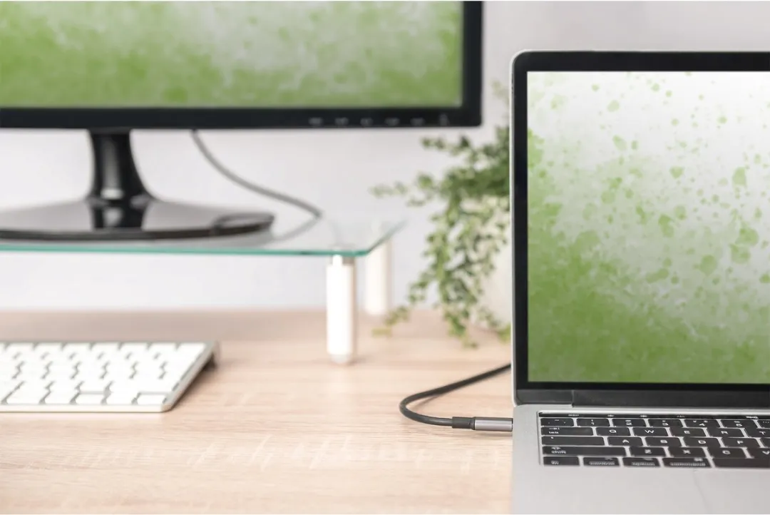 Digitus DA-70821 USB-C naar USB-A Adapterkabel - Grijs/Zwart