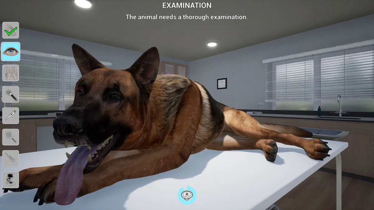 Mindscape Mijn Leven: Dierenarts - PS4