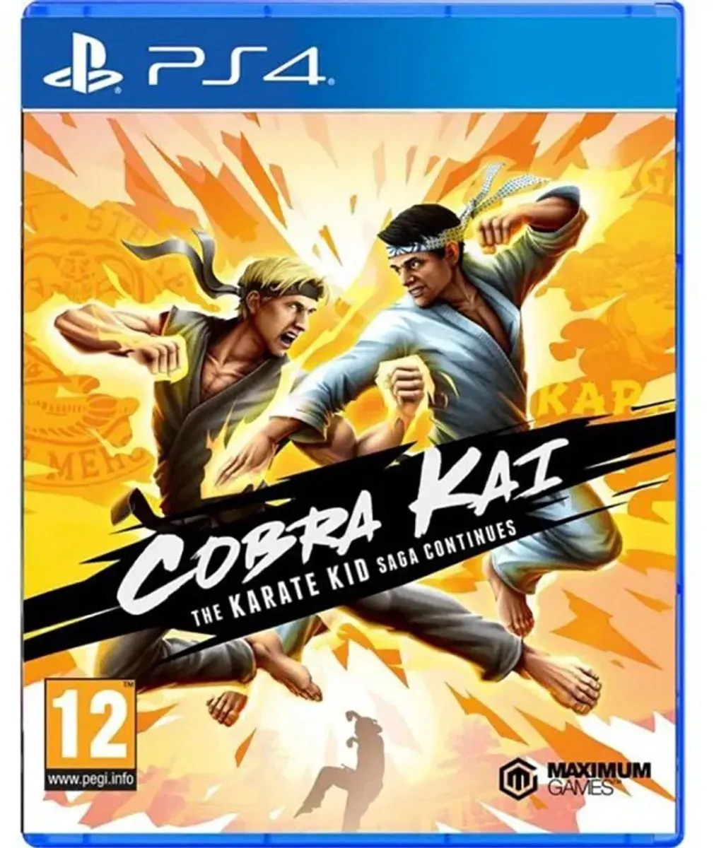 PlayStation Cobra Kai The Karate Kid Saga Continues PS4