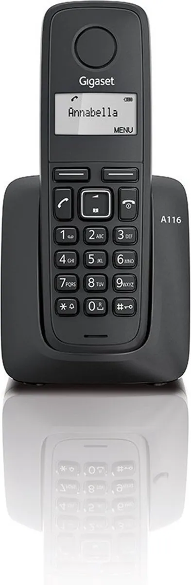 Gigaset E290R - Zwart - 2 handsets