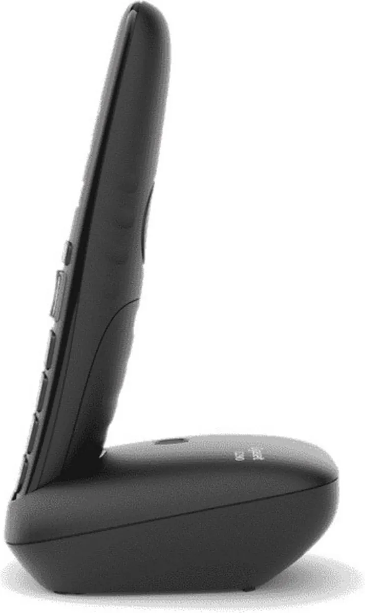 Gigaset E290R - Zwart - 2 handsets