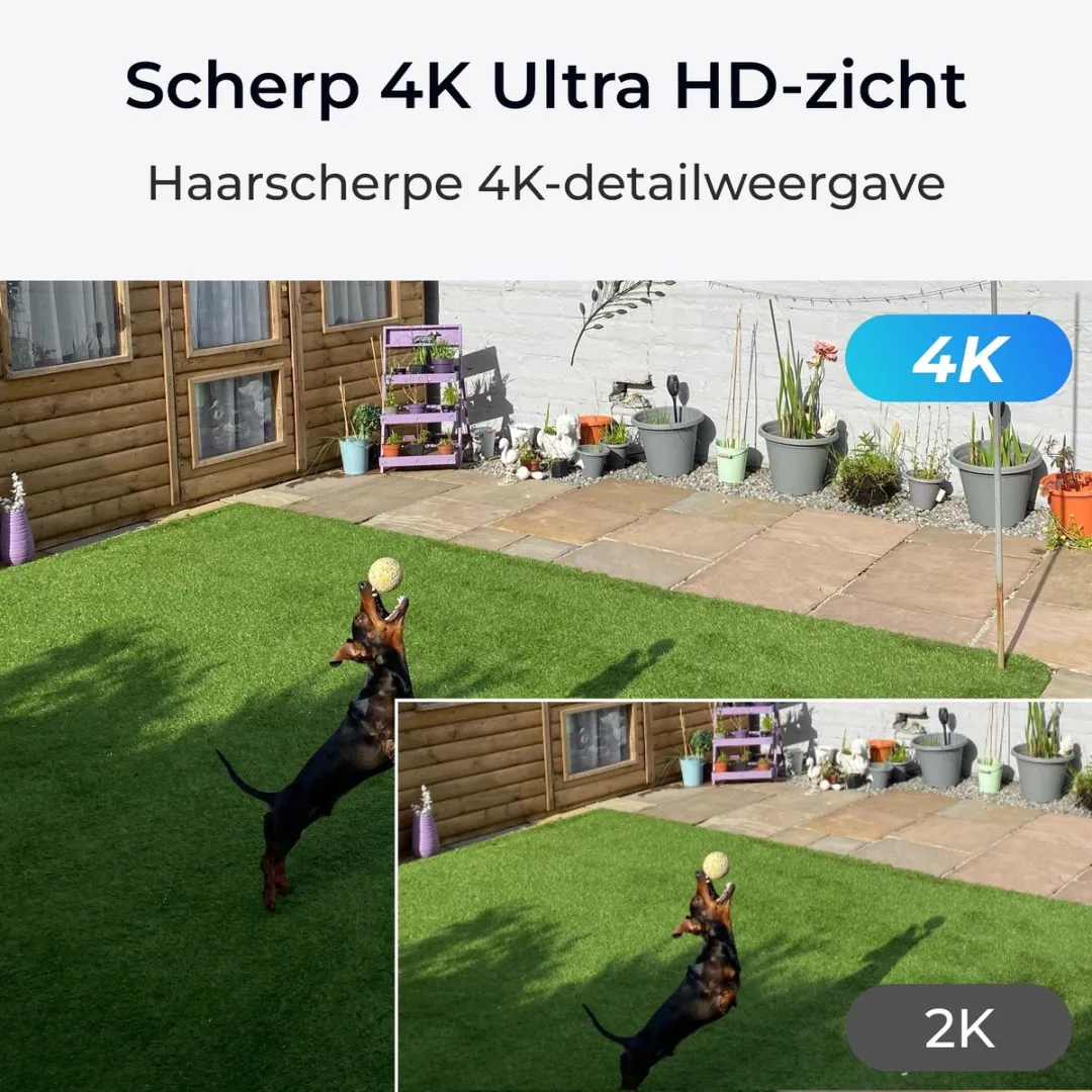 Reolink Argus Eco Ultra 4K Buitencamera - Wit