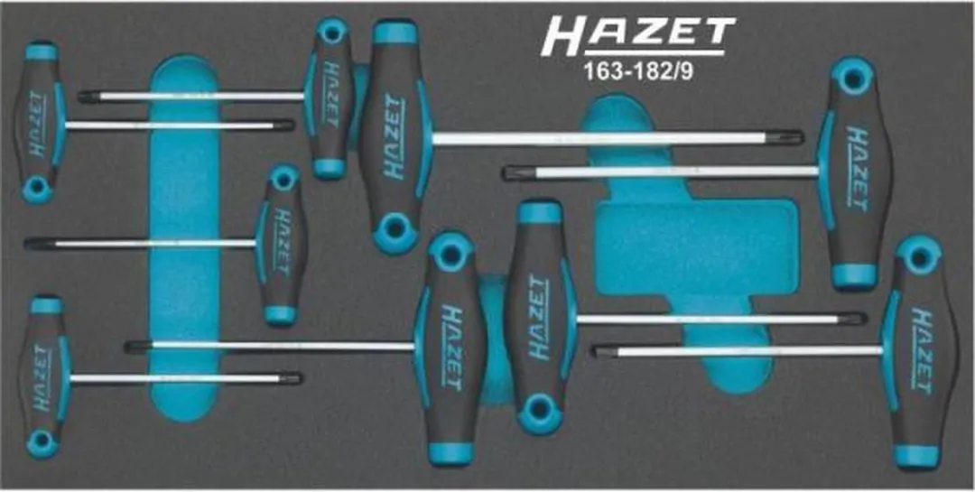 Hazet Gereedschapsmodule 163-182/9