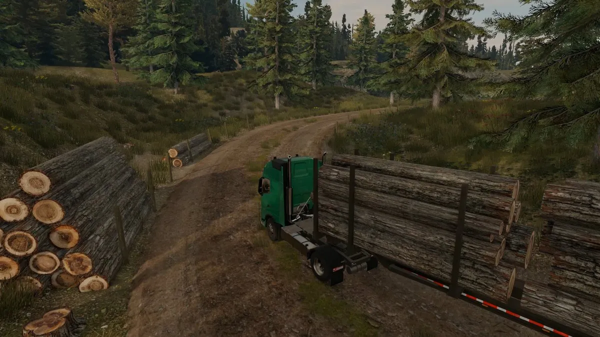 Mindscape Truck Driver Switch