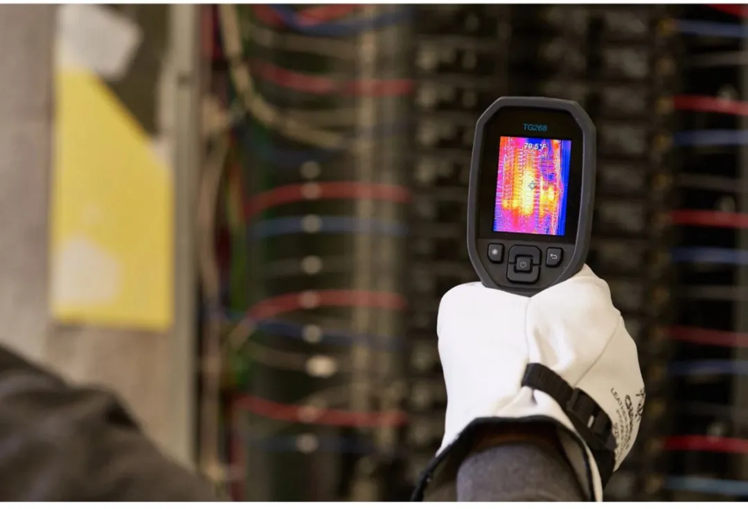 FLIR TG268 Infrarood Thermometer -25 tot +400°C - Zwart