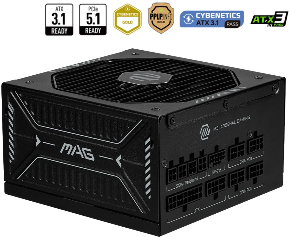MSI MAG A850GLS Voeding