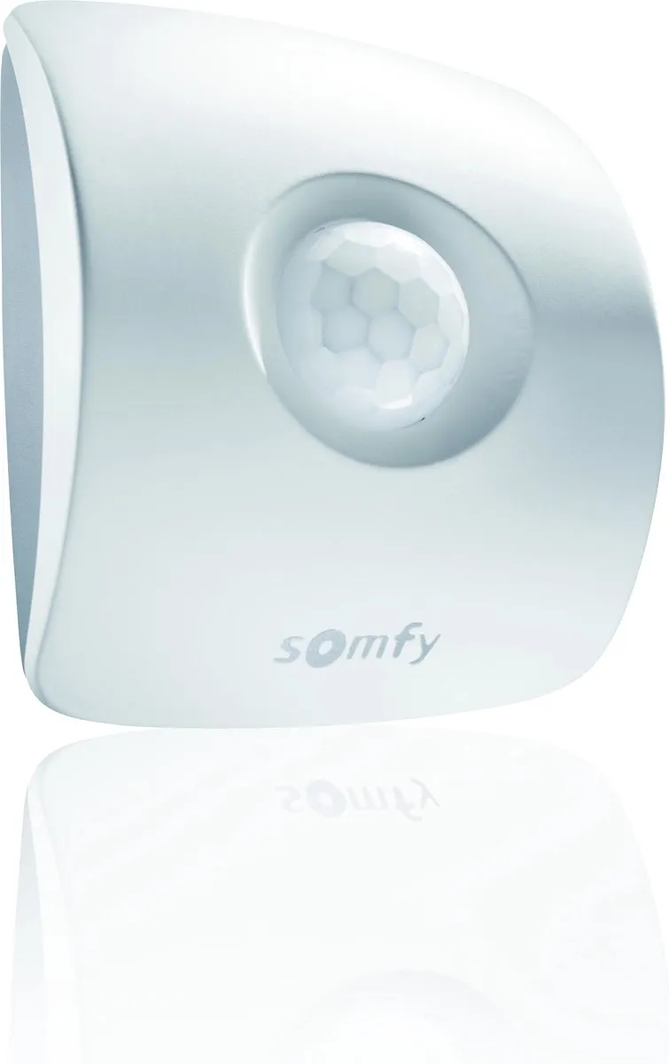 Somfy Bewegingsmelder - compatible met TaHoma switch - smart home beveiliging sensor - io home control