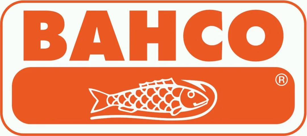 Bahco B145.006.100 Priem - 6x205mm Multicolor