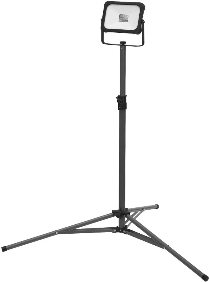 LEDVANCE Worklights Value Battery Statieflamp 20W 6500K