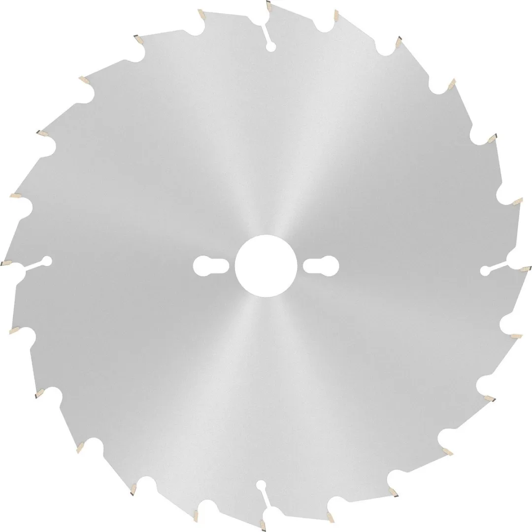 Bosch Professional Hout Cirkelzaagblad 254mm 24T - 2608838412
