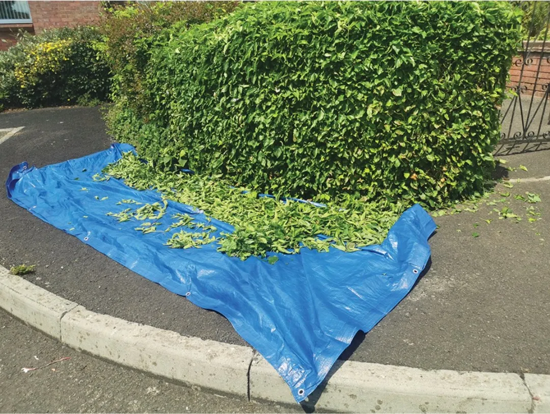 Silverline Afdekzeil 240x300cm - Blauw - Waterdicht & UV-bestendig - afbeelding 6 van 6