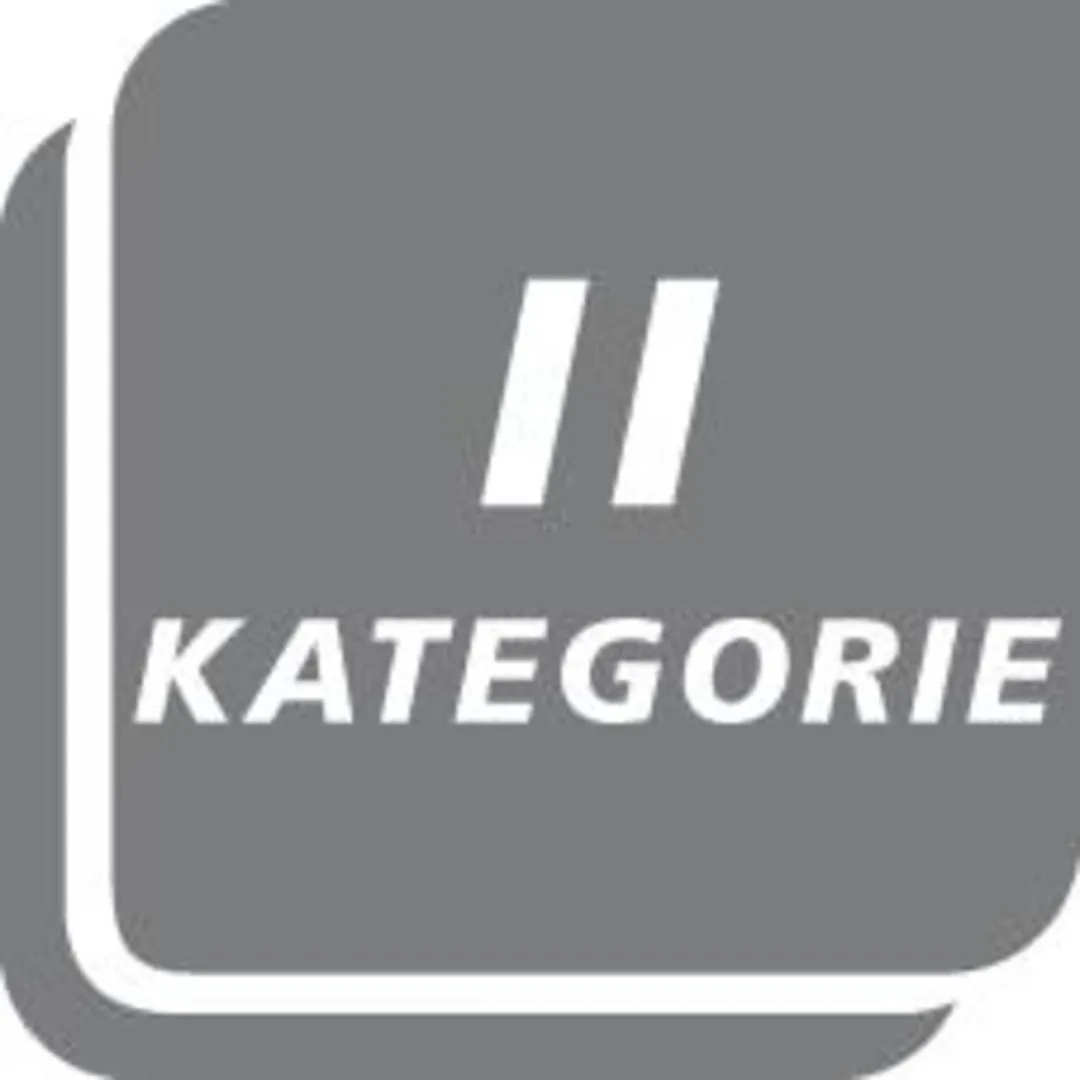 Gedore Steeksleutel 19mm - MPN 6670480