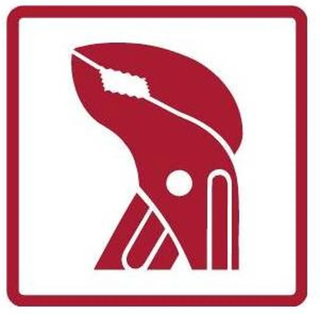 Gedore RED R22150018 4-delige Tangenset