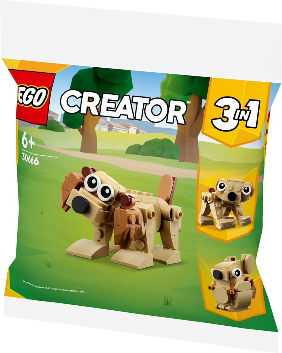 LEGO Creator 30666 Cadeaudieren - 75 Stukken - Meerkleurig