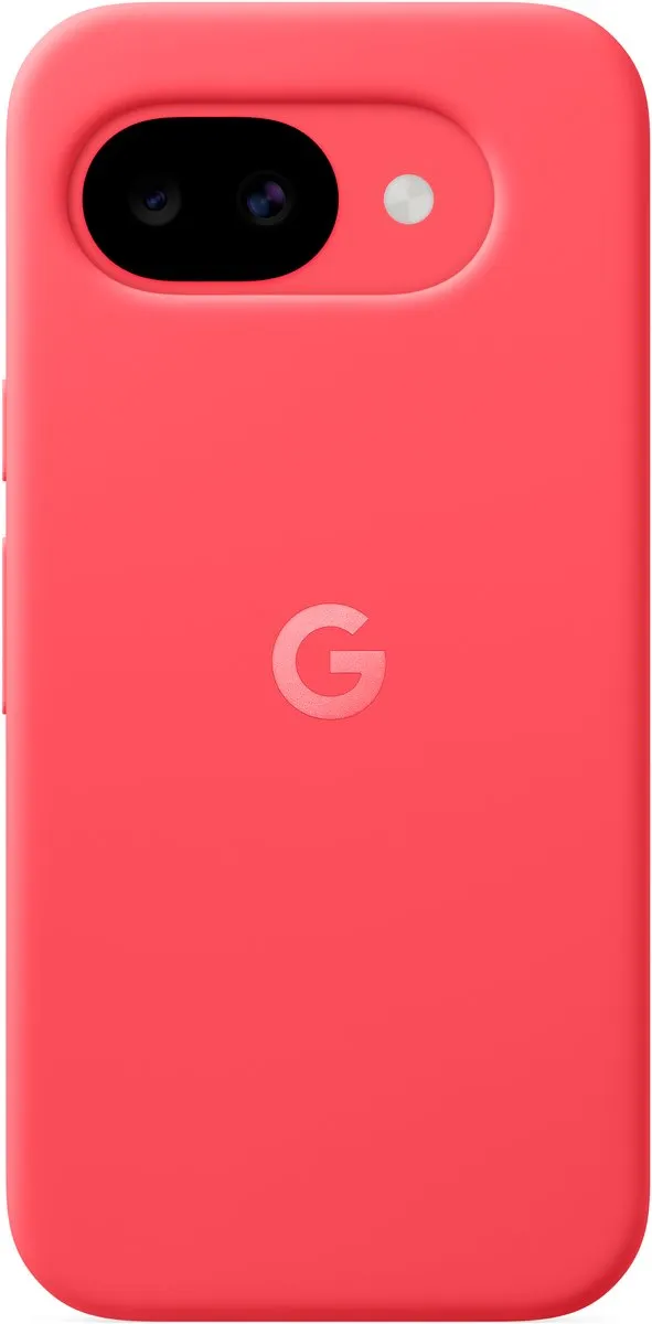 Google GA10874-WW Hoesje