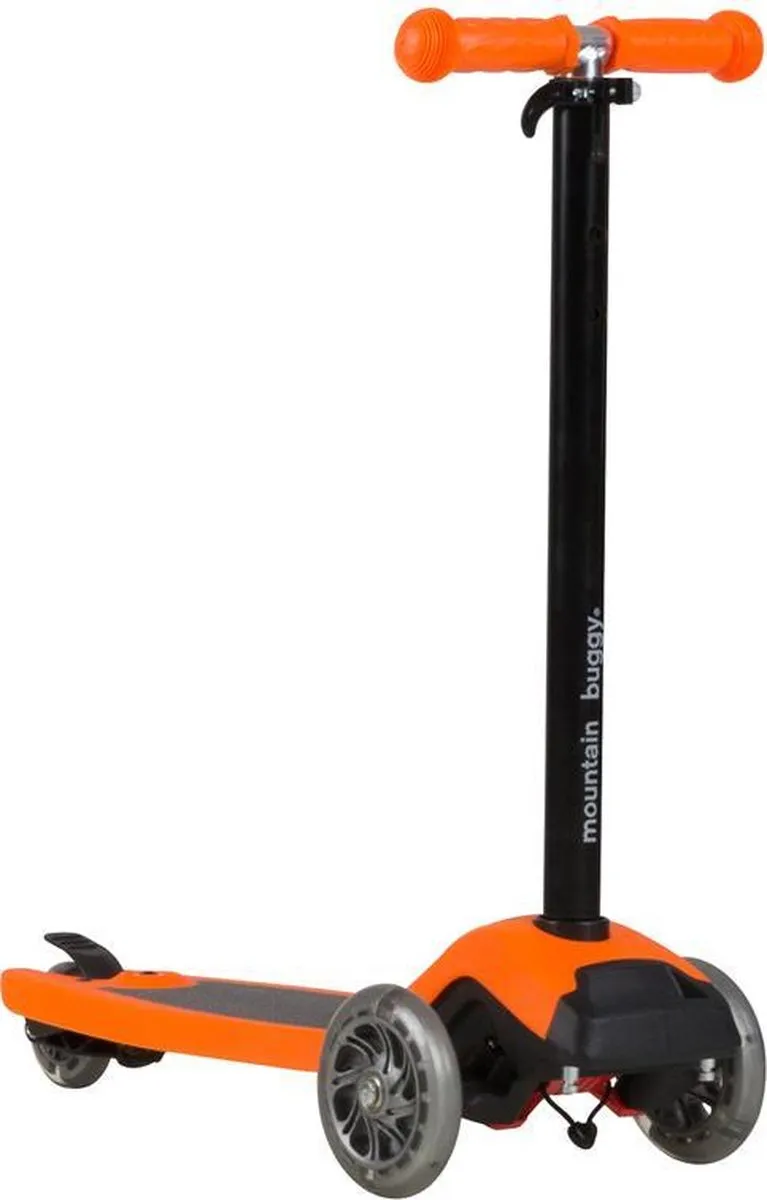 Mountain Buggy Freerider