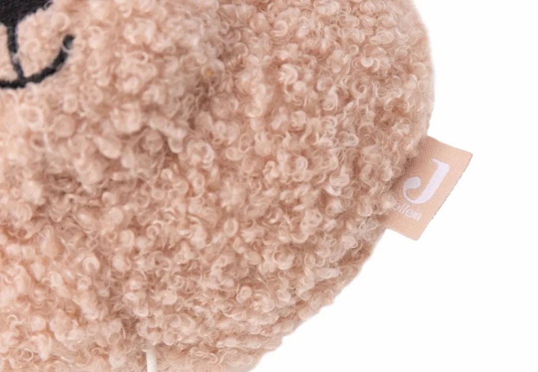 Jollein Baby Muziekhanger Teddy Bear Wild Rose