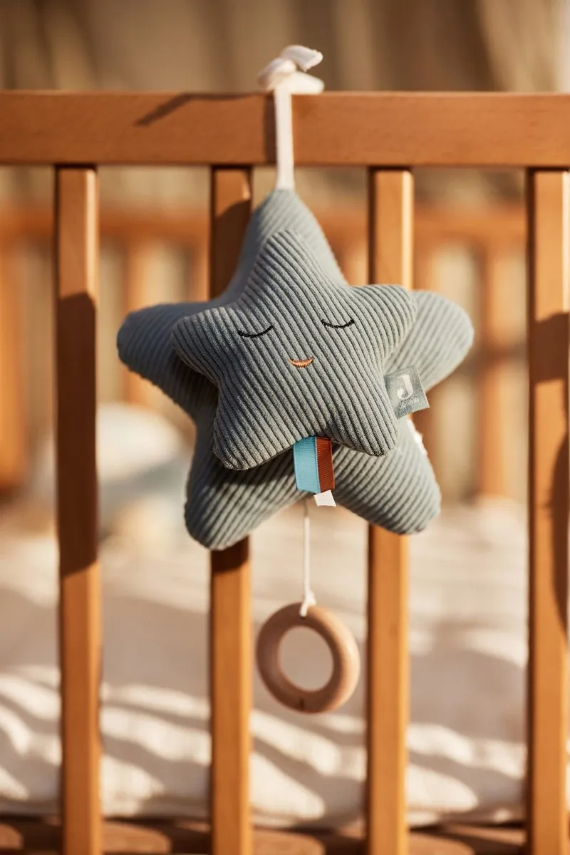 Jollein Baby Muziekhanger Star Sea Green