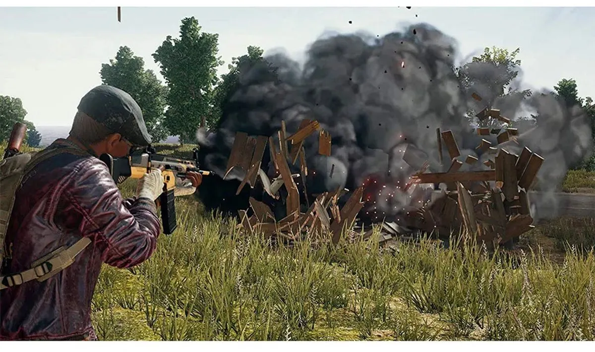PlayStation Games Playerunknown's Battlegrounds Import - Bruin - afbeelding 4 van 4