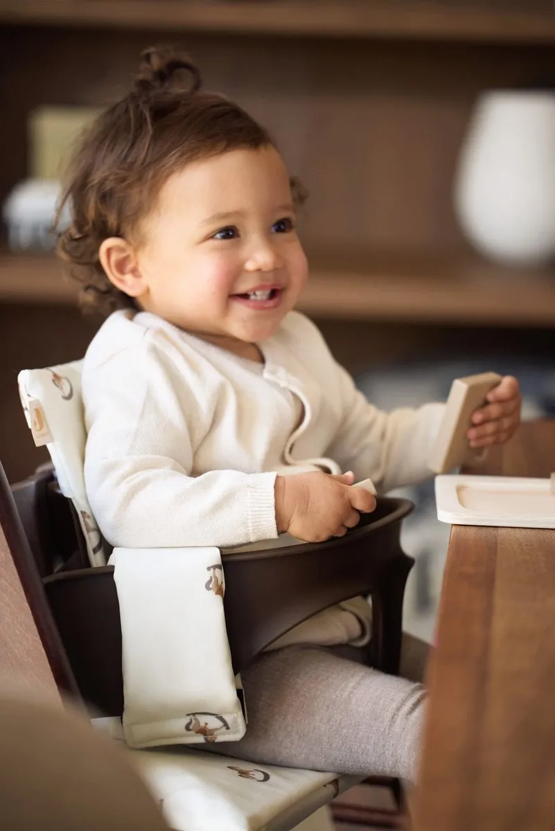 Jollein Baby Stoelverkleiner Meegroei Nostalgic Ride - Multicolor
