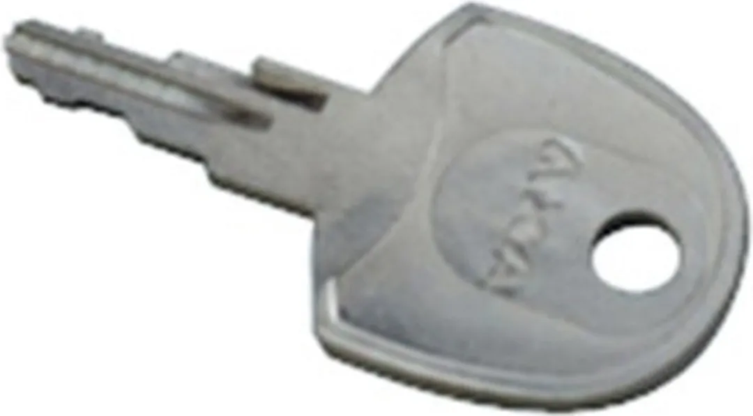 AXA Sleutel 3990 - Zilver