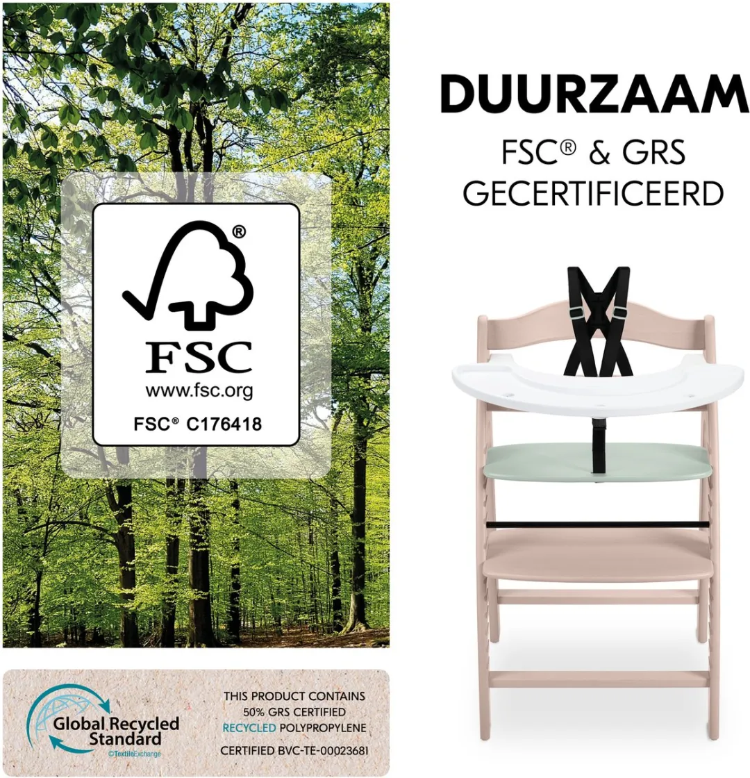 Hauck Arketa N Play Kinderstoel - FSC Beukenhout - Mint