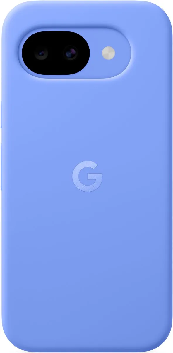 Google GA10873-WW Hoesje Lavendel - 6.3"