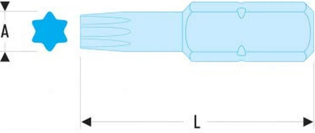 FACOM EX.245 Torx Bit - 1 Stuk