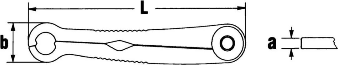 Stahlwille 41101919 Enkelvoudige Ringsleutel 19mm