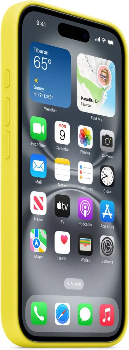 Apple Silicone Backcover MagSafe iPhone 16 Plus - Star Fruit