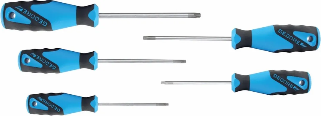 Gedore 3-C Schroevendraaierset TORX T10-T30 - 5-delig