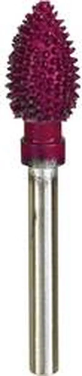 Proxxon Raspfrees 8x12mm