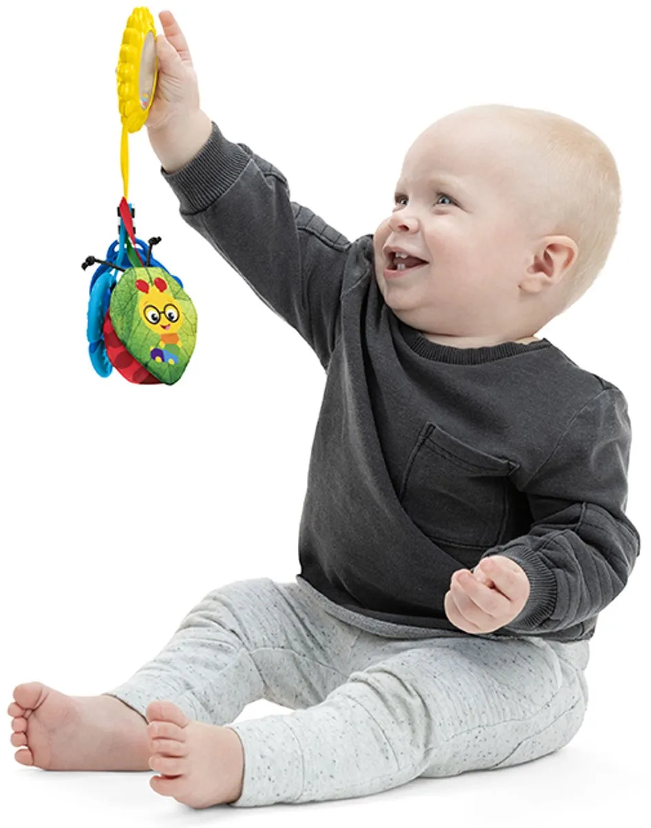 Baby Einstein Touch of Nature Buggyspeeltje - Multicolor