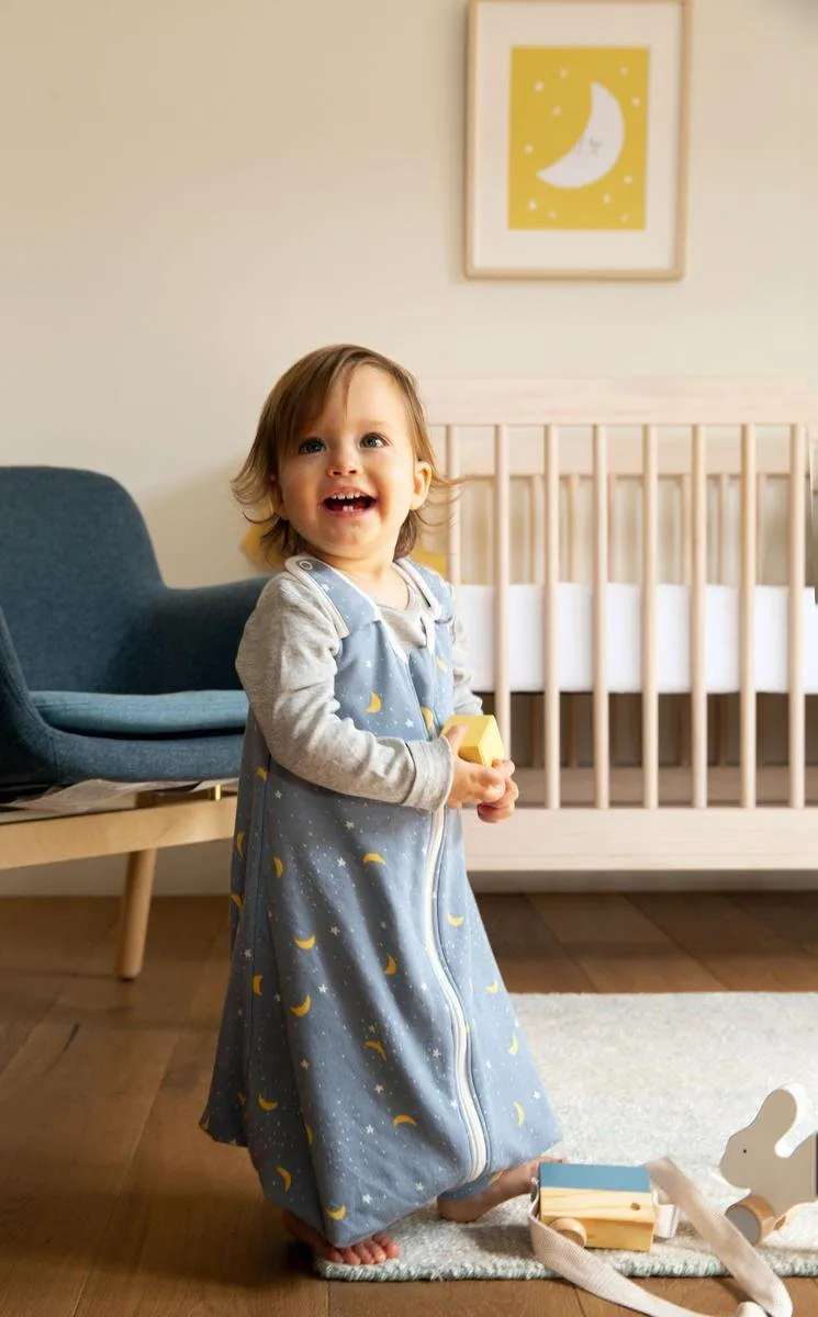 Ergobaby Babyslaapzak Classic TOG 2.5 - 0-6 maanden - Stellar