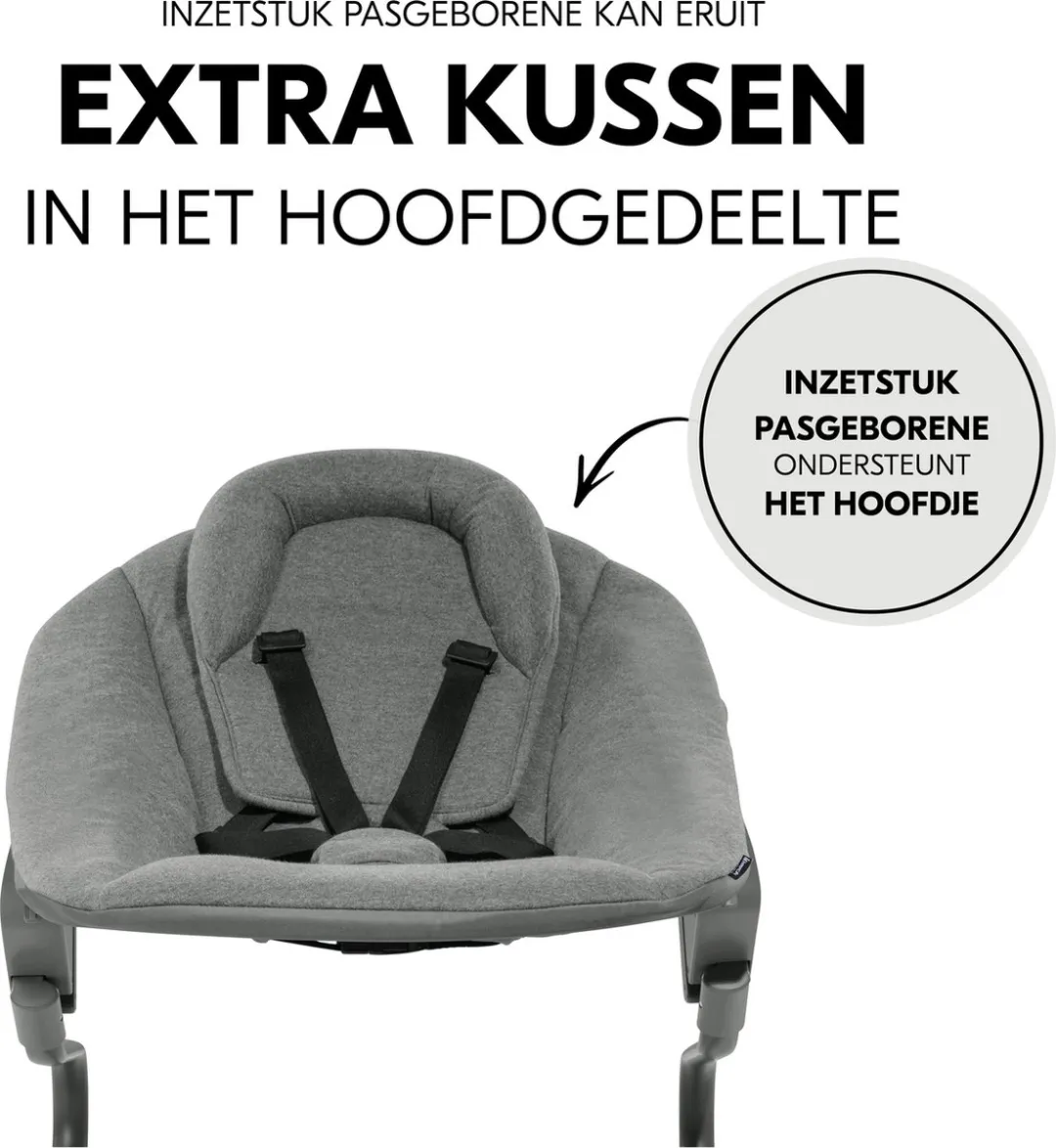 Hauck Alpha Bouncer Premium - Wipstoel - Dark Grey