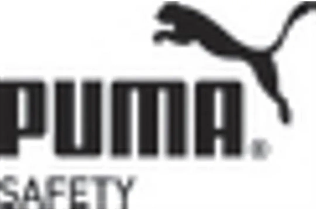Puma veiligheidsschoenen hoog s3 kruipneus 63022 42 bruin