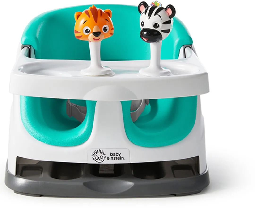 Baby Einstein Base 2-in-1 Zitje