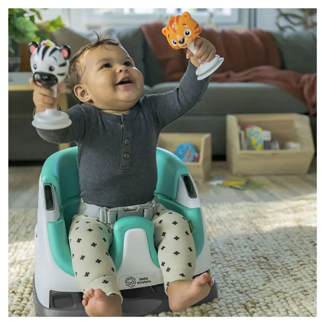 Baby Einstein Base 2-in-1 Zitje - Multicolor
